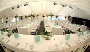 Wedding local DJ Hire